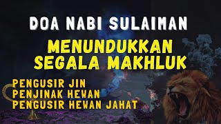 Doa Nabi Sulaiman Menundukan dan Menjinakkan Hewan dan Jin  Ayat Nabi Sulaiman Innahu Min Sulaimana [upl. by Krantz]