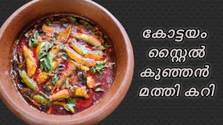 കോട്ടയം സ്റ്റൈൽ കുഞ്ഞൻമത്തിമുളകിട്ടത് recipesinajar fishcurry [upl. by Nahtnahoj]