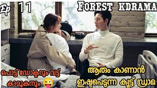 He accidentally love with his childhood crush🥰മലയാളത്തിൽ ആദ്യമായി forest kdrama explanation [upl. by Fernande169]