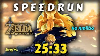 Jai fini Zelda BotW en 25 minutes 33 sec  Speedrun Zelda BotW Any NA [upl. by Pernick]