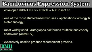 Baculovirus Expression Vector  Insect Virus  Baculovirus Expression system  BCV Insect Cell Lines [upl. by Aeneus599]