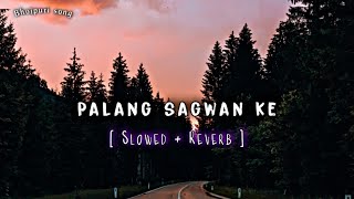 Palang Sagwan ke Slowed Reverb  Khesari Lal Yadav  Bhojpuri Song  पलंग सागवान के  LoFi Beat [upl. by Huberman]