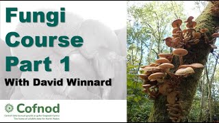 Fungi Course Part 1 [upl. by Zere]