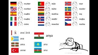 Agglutinative Altaic and Uralic Languages Comparison [upl. by Helms]