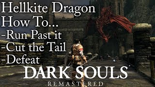 Dark SoulsRemastered  How To Run Past Cut the Tail amp Defeat Hellkite Dragon [upl. by Mischa]