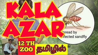 KALA AZAR  TAMIL  VISCERAL LEISHMANIASIS  HUMAN HEALTH AND DISEASES  STD 12  TNSCERT [upl. by Notrem660]