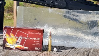 Hornady SST 150gr 100 yard gel test It made the GEL GET UP AND DANCE [upl. by Defant]