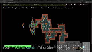 NETHACK TNNT november tournament  Tourist Ascension only  non genocide non elbereth etc [upl. by Liartnod]