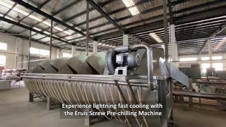 Cooling Revolution Transforming Poultry Processing with Eruis Screw Prechilling Machine [upl. by Alenoel854]