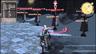 FFXIV Assist Bot  FFXIVMinion [upl. by Mosra]