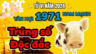 Tử vi 2024  TRÚNG SỐ ĐỘC ĐẮC  Tân Hợi 1971 nam mạng CUỘC ĐỜI PHẤT MẠNH [upl. by Teece1]