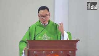 Homily English  14th Sunday in Ordinary Time [upl. by Marilou]