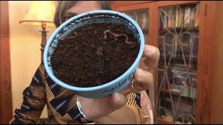 An Earthworms Life  Life Cycle  Worm  Gardening  Preschool  Read Aloud  Story [upl. by Sset751]