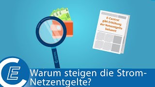 EControl erklärt Warum steigen die Stromnetzentgelte [upl. by Natye]