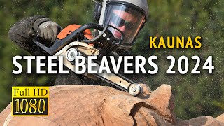 🇱🇹 Steel Beavers 2024 kaunas stihl chainsawman chainsaw craftsman auction lithuania carwing [upl. by Sancha]