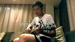 PINK SKIES by LANY ACOUSTIC COVER [upl. by Teahan955]