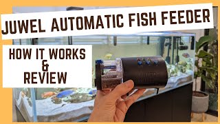 Juwel Easy Feed automatic fish feeder review  how to use it and how long it lasts [upl. by Ystap289]