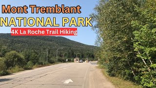 Mont Tremblant National Park Quebec Canada 4K Walking  Hiking Tour  La Roche Trail Hiking [upl. by Herstein]