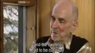 Ingmar Bergman Interview 56 Entrevista BBC [upl. by Ordnael]