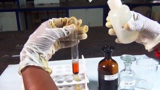 Chemical Tests for Acetate  MeitY OLabs [upl. by Ysor984]