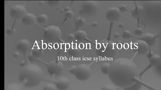 absorptive by roots class 10 icse [upl. by Lauree]