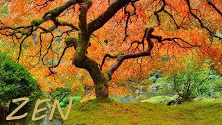 Zen Garden Relaxing Music and Nature  Asian Far East Instruments [upl. by Llerruj550]