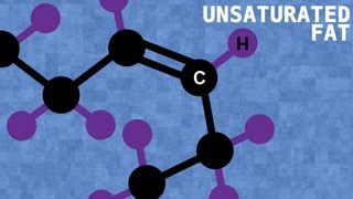 Saturated and Unsaturated Fats  Nutrition  Biology [upl. by Kassi691]