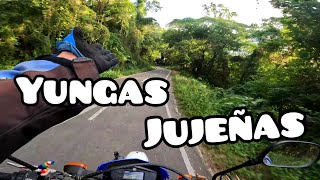 RUTA 9 🛣 ACAMPO EN MEDIO DE LAS YUNGAS JUJEÑAS 🪴🏕🪴 camping motoviajero yamaha [upl. by Rediah]