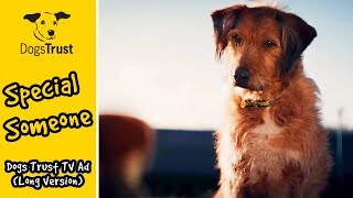 Special Someone  Dogs Trust TV Ad Long Version [upl. by Ramoj550]