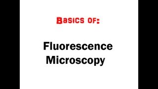 Fluorescence Microscopy in 5 mins HD [upl. by Vladamar]