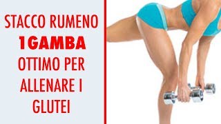 STACCO RUMENO AD UNA GAMBA TUTORIAL  🤩 GLUTEI E GAMBE [upl. by Clary152]