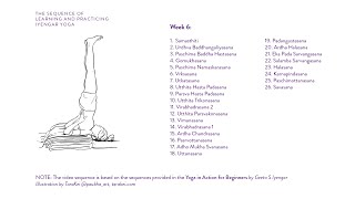 Week 6 Learning and Practicing Iyengar Yoga for Beginners [upl. by Nospmis]