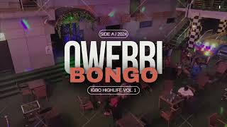 Owerri Bongo 2024 Mix  Igbo Highlife Vol 1 [upl. by Anytsirk]