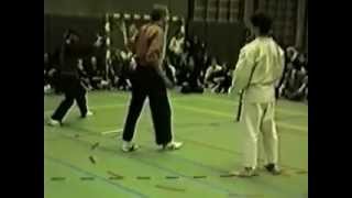 Pencak Silat VS Karate [upl. by Sweyn539]