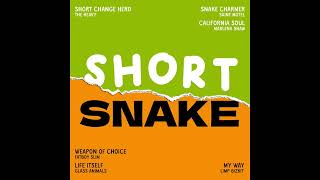 Short Snake [upl. by Ybrik]