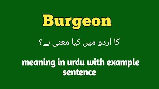 Burgeon meaning in Urdu  English  Hindi  Burgeon with sentence example How to pronounce burgeon [upl. by Jessen447]