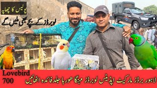 Lahore Sunday birds Market mein Police ki RAID pashabirdsvlogs birds sundaybirdsmarket [upl. by Nadab]