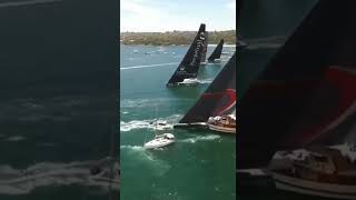 Enormous Sail Boat Carves Through Smaller Boats To Avoid Crash Awesome Driving boat [upl. by Rabassa]