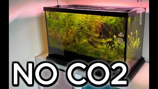 How To Grow Plants NO CO2 [upl. by Hathaway324]