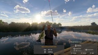 Unique largemouth bass everglades fishing planet [upl. by Seldun721]