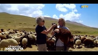 Erzurumda organik hayvancılık  Organic livestock farms in ErzurumTurkey [upl. by Nnanaej827]