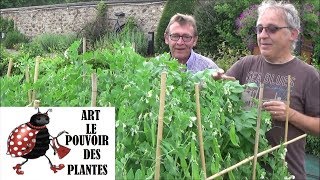 Conseil jardinage Permaculture 2018 Récolte légumes graines Potager urbain [upl. by Joanie]