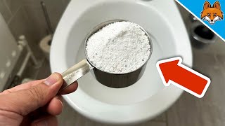 Kippe WASCHPULVER in die TOILETTE und du wirst mir EWIG DANKBAR SEIN💥Genialer TRICK🤯 [upl. by Yoreel]