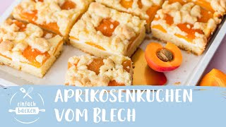 Aprikosenkuchen vom Blech I Einfach Backen [upl. by Rocker]