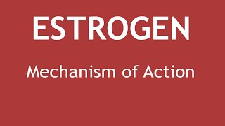 Mechanism of Action of Estrogen  Dr Shikha Parmar [upl. by Gazzo429]