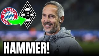 TOPTRANSFER BORUSSIA MGLADBACH HOLT SPIELER VON FC BAYERN – NACHRICHTEN VOM DIE FOHLEN [upl. by Itak]