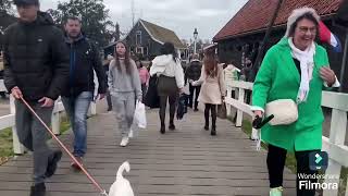 Day trip to Zaandam amp Zaanse Schans [upl. by Nus]