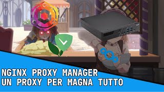 Nginx Proxy Manager un proxy per magna tutto e avere lHTTPS [upl. by Anibla]