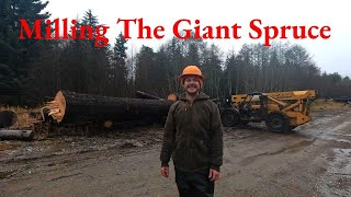 Milling The Giant Spruce [upl. by Nelg]