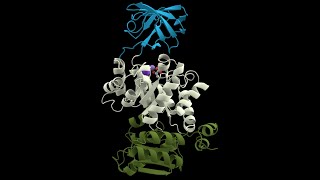 Ribozyme and Isozymes Part 1 [upl. by Vanessa375]